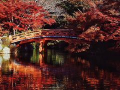 -醍醐寺