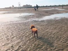 -奉贤海滩