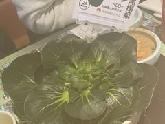 -巴蜀大将火锅(春熙店)