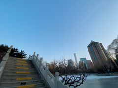 -团结湖公园
