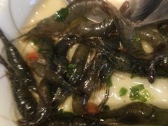 -西郊壹号