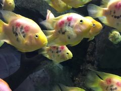 -苏州海洋馆