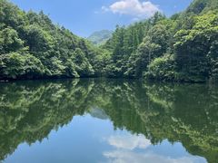 -洛阳白云山景区