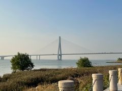 -芒洲湿地公园