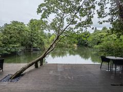 -木守西溪溪隐餐厅