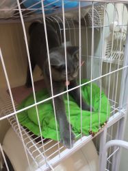 -Miss·A日式美甲美睫