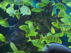 -多彩贵州城极地海洋世界