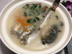 东坡河豚-肆月河豚·新淮扬(金融街店)