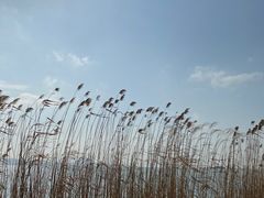 -上海市保健医疗中心