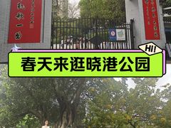-晓港公园