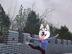 -抱犊寨风景区