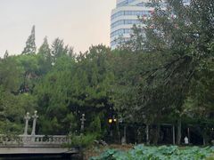 -同济大学附属上海市肺科医院·停车场