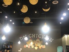-DM CHICKEN 分米鸡