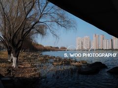 景点-金鸡湖景区