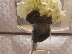 -安德鲁户外烧烤帐篷营地(马泉营店)