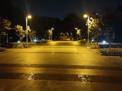 -白塘生态植物园