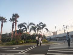 -海堤纪念公园