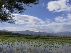 -野鸭湖国家湿地公园