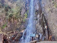 -姑婆山旅游区