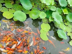 -嬉乐湾休闲旅游区