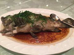 清蒸开刀海石斑-阿一鲍鱼·20年匠心传承(天河北旗舰店)