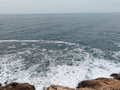 -广东惠东海龟国家级自然保护区