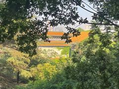 -青岛中山公园-索道售票处