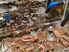 -万龙洲海鲜(大兴绿地缤纷城店)