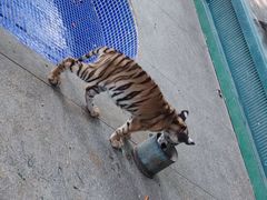 -秦皇岛野生动物园