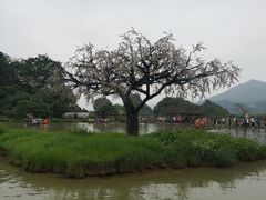 -英西峰林九重天景区