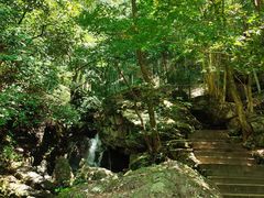 -藏龙百瀑风景区