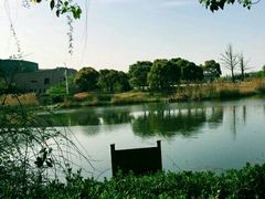 -新江湾城公园