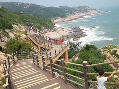 -广东惠东海龟国家级自然保护区