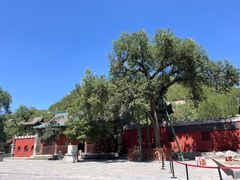 -窦大夫祠