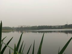 -美兰湖景区