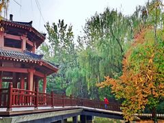 -西安市长乐公园