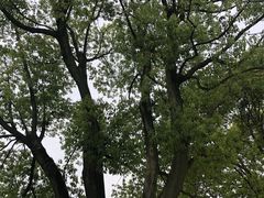 -雨花胜境