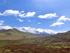 -祁连山草原
