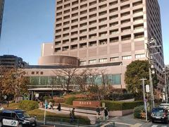 -秋叶原电器街