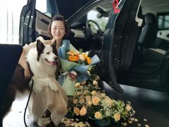 -上海永达捷豹路虎4S旗舰店