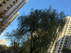 -解放阁