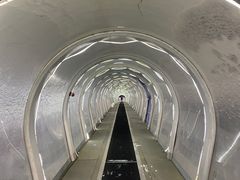 -中旅松花湖滑雪场