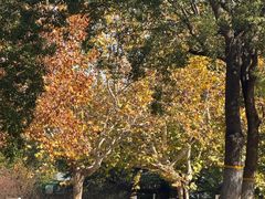 -上海第二工业大学(金海路校区)