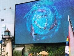 -海合安天津极地海洋公园