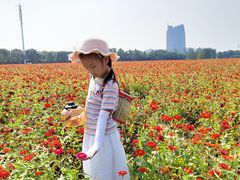 -山明水秀大饭店