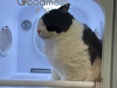 -悠尼宠物·独立低压伊珊娜洗护·美容·寄养(兰谷路店)