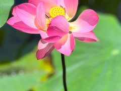 -长兴太湖图影湿地文化园