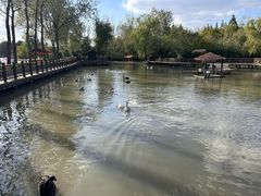 -溱湖国家湿地公园