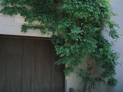 -嵩祝寺及智珠寺