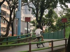 -九龙寨城公园